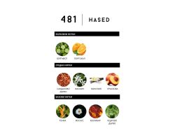 Hased 481