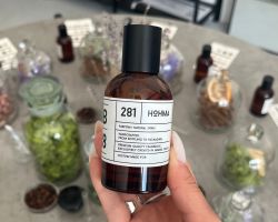 Hohma 281