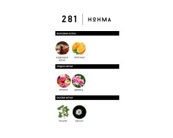 Hohma 281