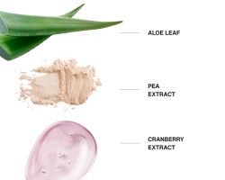 Skin structure improving