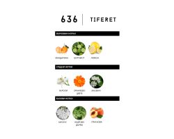 Tiferet 636