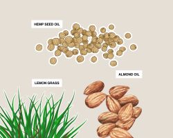 Hemp Body Oil